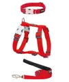 RedDingo Puppy Kit Rot Klassisch