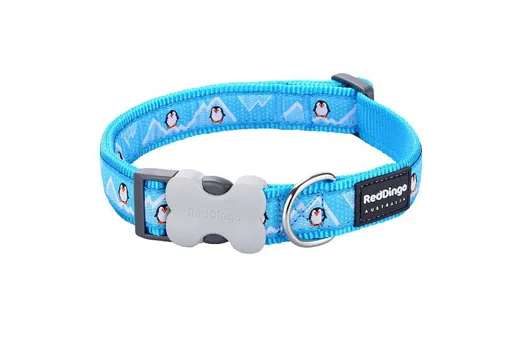 RedDingo Halsband Design Pinguin
