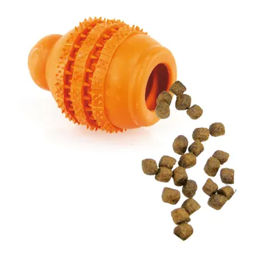 swisspet Hundespielzeug Dental-Fun Spielkegel