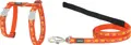 RedDingo Geschirr und Leine Breezy Love Orange