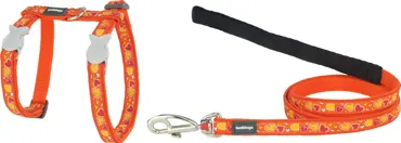 RedDingo Design Geschirr und Leine Breezy Love Orange