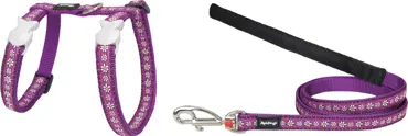 RedDingo Design Geschirr und Leine Daisy Chain Violett