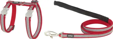 RedDingo Design Geschirr und Leine Fang it Rot