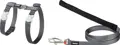 RedDingo Katzengeschirr Leine Classic Cool Grau