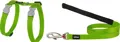 RedDingo Katzengeschirr Leine Classic Lime Grün