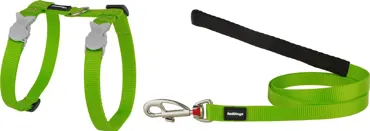 RedDingo Classic Geschirr und  Leine Lime Grün