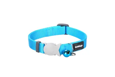 RedDingo Classic Katzenhalsband Plain Türkis