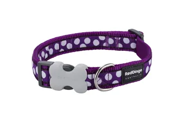 Hundehalsband Design White Spots on Purple