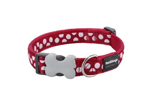 RedDingo Halsband Rot