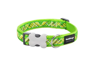 Hundehalsband Design Flanno Lime