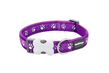 Hundehalsband Design Desert Paws