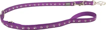 Führleine Design Desert Paws