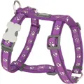 RedDingo Geschirr Design Desert Paws Purple