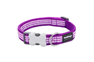 Hundehalsband Design Fang It