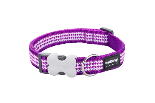 RedDingo Halsband Design Fang it Purple