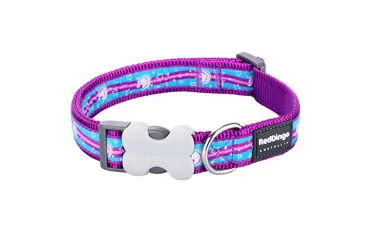 Hundehalsband Design Unicorn
