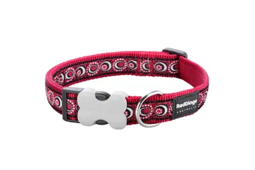 Hundehalsband Design Cosmos