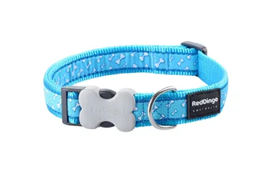 Hundehalsband Flying Bones Türkis
