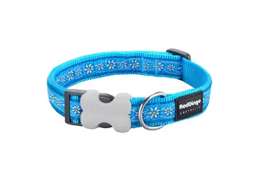 Hundehalsband Design Daisy Chain