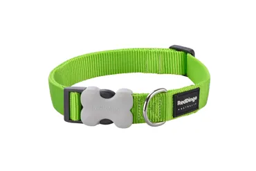 Hundehalsband Classic Grün