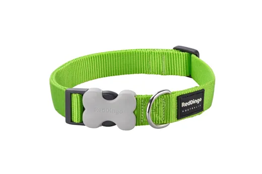 RedDingo Halsband Design Classic Lime Green