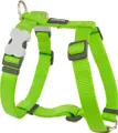 RedDingo Geschirr Design Lime Green