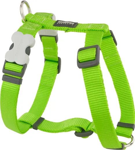 RedDingo Geschirr Design Lime Green