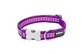 RedDingo Halsband Design Reflective Bones Purple