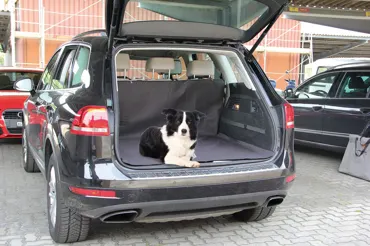 swisspet Kofferraum-Schondecke Billy, Schwarz