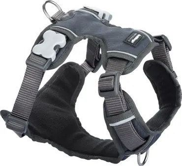 Padded Harness Geschirr