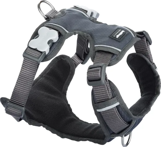 RedDingo Padded Harness Grau