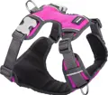 RedDingo Padded Harness Rosa