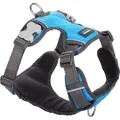 RedDingo Padded Harness Türkis