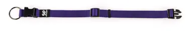 ONE Hundehalsband Violett