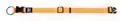 Trendline ONE Hundehalsband Orange