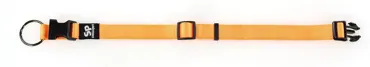 ONE Hundehalsband Orange