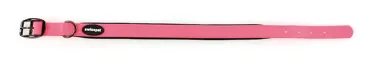 NEON Hundehalsband