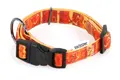 TrendLine Halsband Ossito Orange
