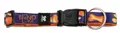 TrendLine Hundehalsband Wingbone