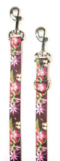 TrendLine Führleine Wave Dreamland Bunt
