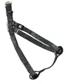 Trendline Hundegeschirr Glamour