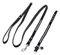 TrendLine katzen-&Hundehalsband & Leine Set Azure