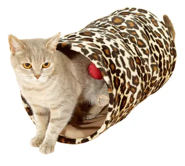 swisspet Rascheltunnel Leopardenmuster