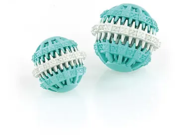 swisspet Hundespielzeuge Dental-Ball Mint