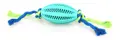 Dentalfun Rugby