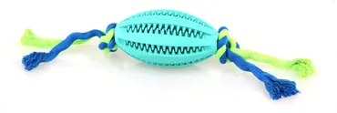 swisspet Dental-Fun Mintfresh Rugbyball