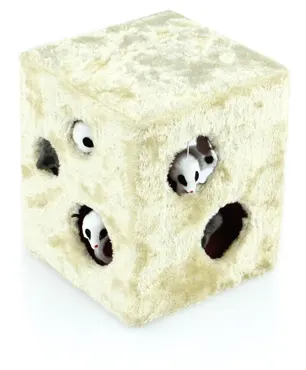 swisspet Spielwürfel mit Mauslöchern