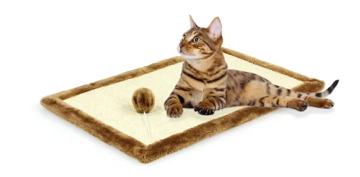 swisspet Katzematte Felipe mit Catnip