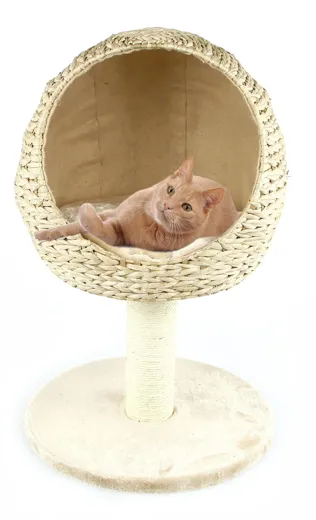 swisspet Katzenlounge Priochill