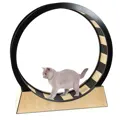swisspet Katzenrad Monte Vigo Gross Braun